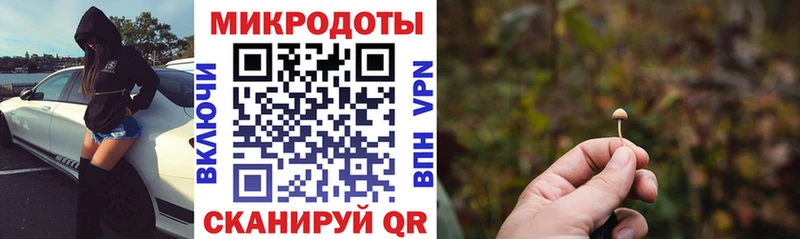 Галлюциногенные грибы Magic Shrooms  Купить закладки  Нытва 