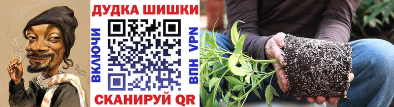 Бошки Шишки MAZAR  Купить закладки  Нытва 